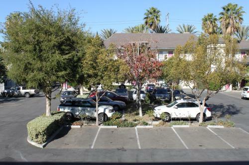 Hotel Alamo Inn And Suites - Convention Center
