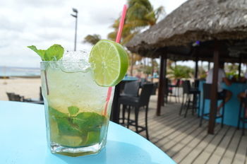 Hotel Plaza Resort Bonaire