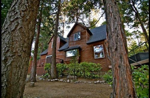 Honey Bear Lodge