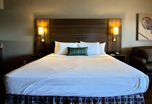Hotel Executive Inn & Suites Oakland