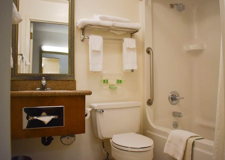 Hotel Holiday Inn Redding