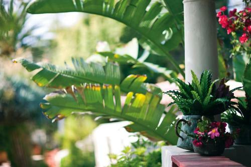 Hotel Belmond El Encanto