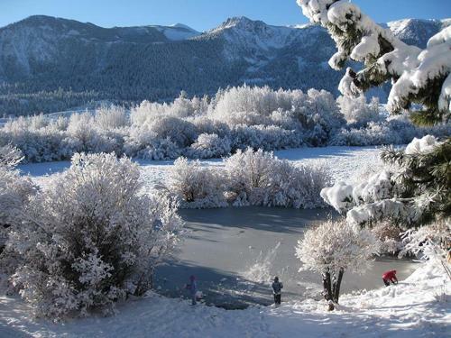 Apartamento Snowcreek 44