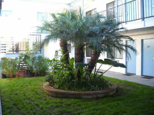 Motel Palms Courtyard Inn