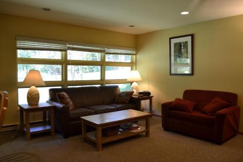 Apartamento Pitkin Creek Park Vail Getaway