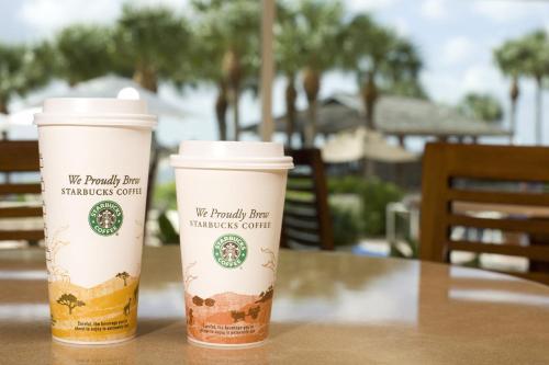 Hotel Clearwater Beach Marriott Suites On Sand Key
