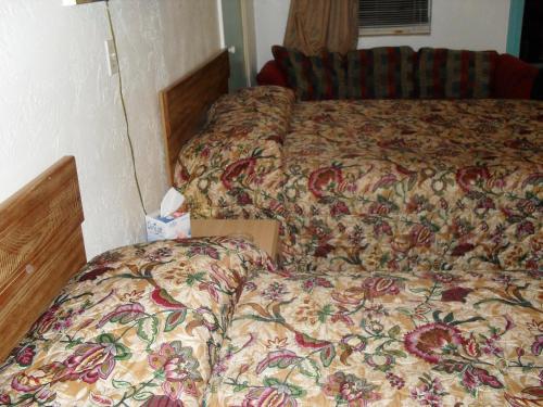 Shore Winds Motel