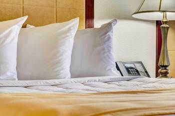 Hutchinson Island Plaza Hotel & Suites