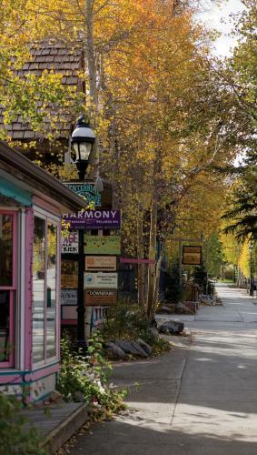 Aparthotel Marriott's Mountain Valley Lodge At Breckenridge