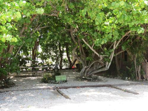 Motel Ed & Ellen's Lodgings Key Largo
