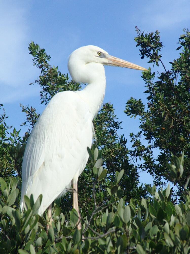 Posada The Pelican Key Largo Cottages