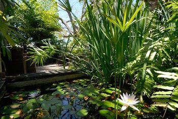 Hostal Merlin Guest House - Key West