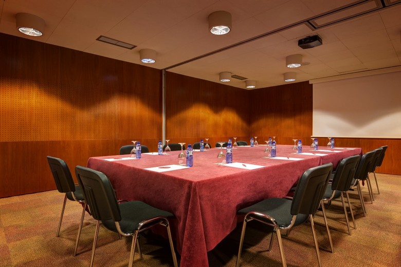 Hotel Acevi Villarroel