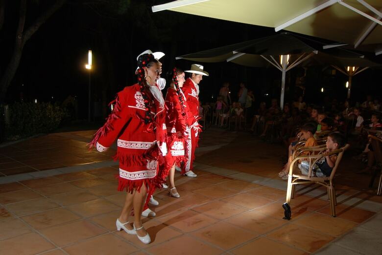 Ciutat De Palol Aparthotel
