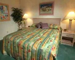 Hotel Dolphins Cove Resort