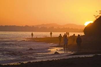 Hotel Dolphins Cove Resort