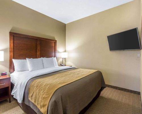 Hotel Comfort Inn & Executive Suites Naples