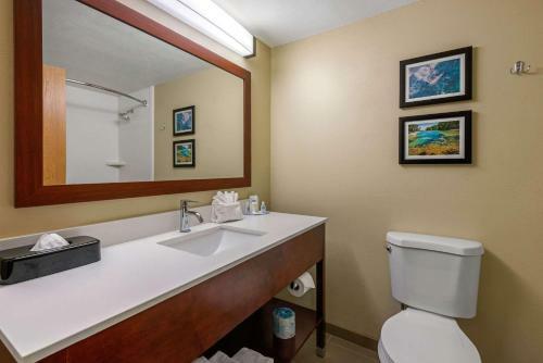 Hotel Comfort Inn Ocala Silver Springs
