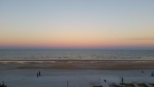 Driftwood Beach Motel