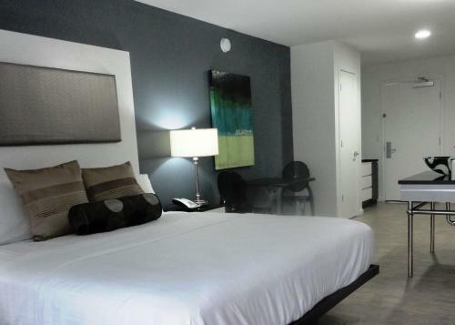 Hotel Lotus Boutique Inn And Suites