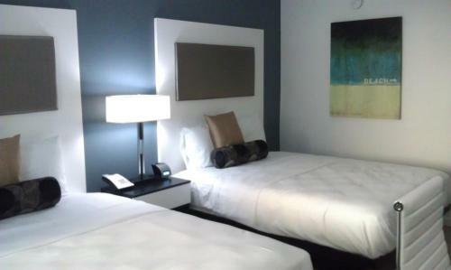 Hotel Lotus Boutique Inn And Suites