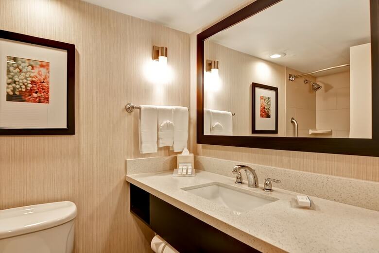 Hotel Hilton Garden Inn Phoenix Midtown