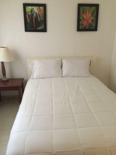 Motel Shores Terrace