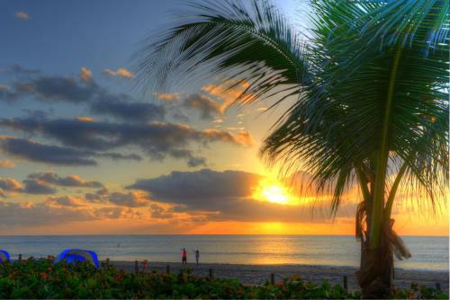 Hotel Beachcomber Resort & Villas