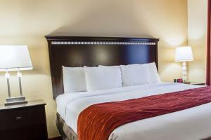Hotel Comfort Inn & Suites Maingate South