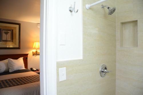 Motel Scottish Inns Lion Inn