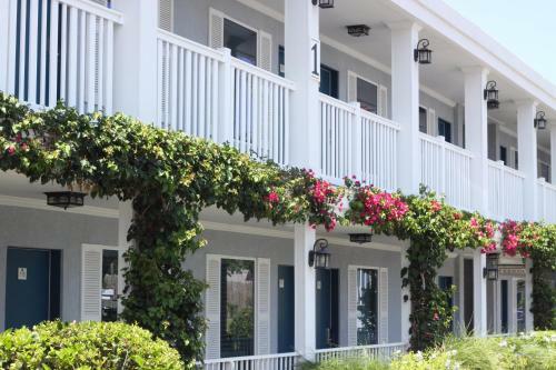 Motel Southern Oaks Inn - Saint Augustine