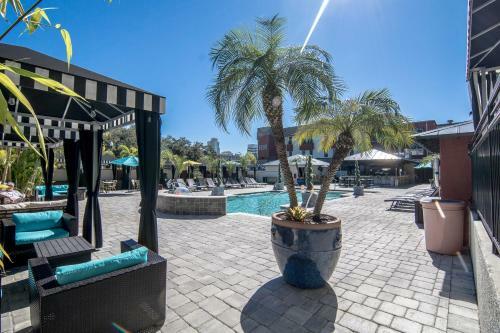 Hollander Hotel - Downtown St. Petersburg