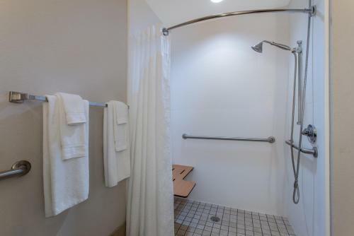 Hotel Holiday Inn Express Silver Springs - Ocala