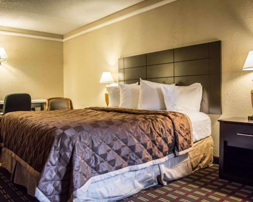 Motel Rodeway Inn & Suites Tampa