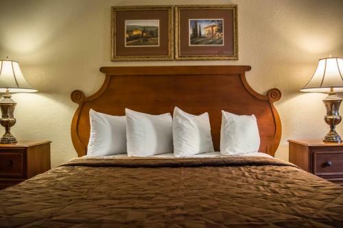 Motel Rodeway Inn & Suites Tampa