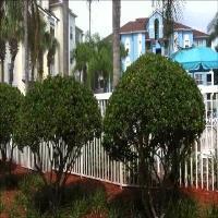 Hotel Cypress Pointe Resort By Diamond Resorts