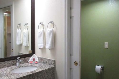 Hotel Sleep Inn Albany
