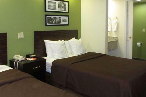 Hotel Sleep Inn Albany