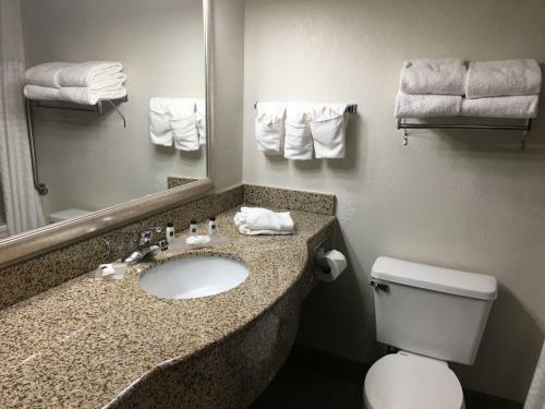 Hotel Comfort Suites At North Point Mall
