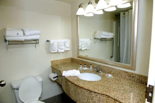 Hotel Comfort Suites At North Point Mall