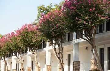 Hotel Graduate Athens