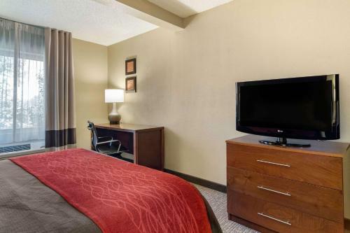 Hotel Comfort Inn And Suites