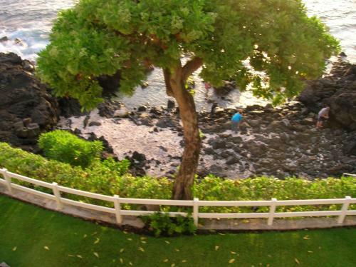 Apartamento Royal Sea Cliff Condo