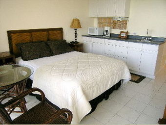 Aparthotel Castle Waikiki Grand Hotel