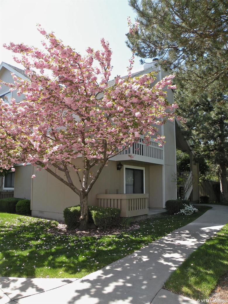 Hotel Residence Inn By Marriott Boise Downtown