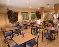 Hotel Best Western Plus Dfw Airport Suites