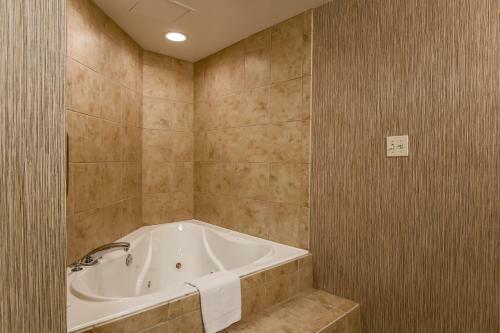 Hotel Hampton Inn Champaign/urbana