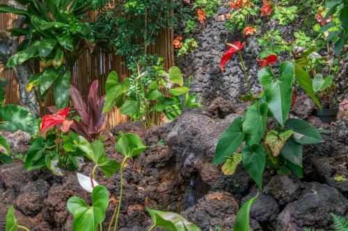 Hotel Napili Surf Beach Resort