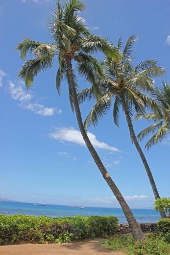 Hotel The Makai Inn
