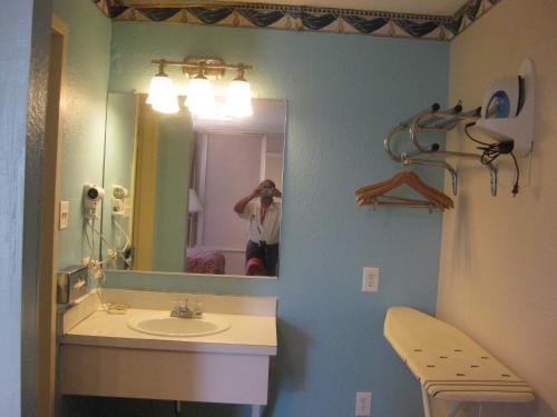 Motel Regency Inn Of Naperville